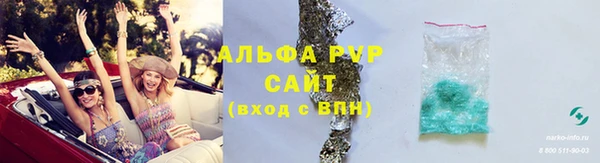 гашиш Богданович