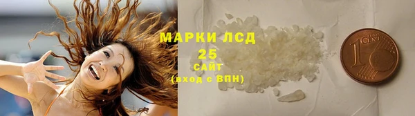 гашиш Богданович