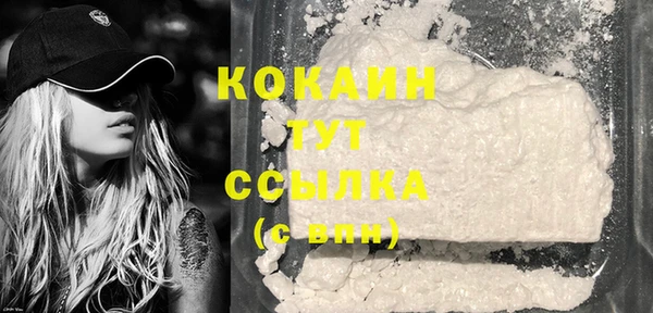 гашиш Богданович