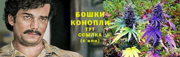 гашиш Богданович