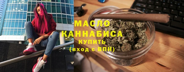 тгк Богородицк