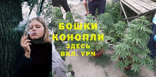 тгк Богородицк