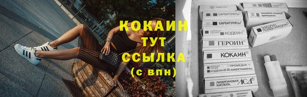гашиш Богданович