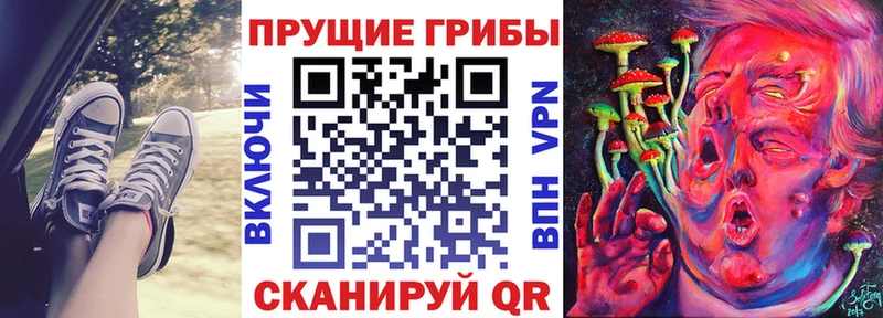 Псилоцибиновые грибы Cubensis  Купить закладки  Сердобск 